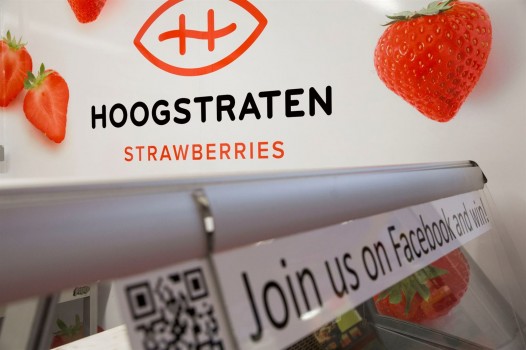 Hoogstraatse aardbeien