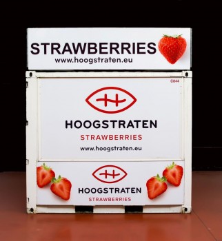 Hoogstraatse aardbeien